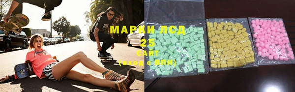 бошки Белокуриха