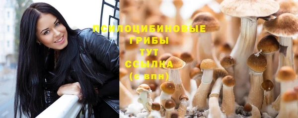 бошки Белокуриха