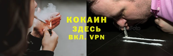 бошки Белокуриха
