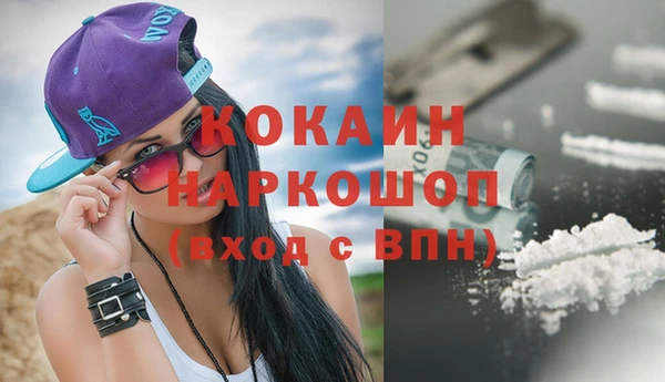бошки Белокуриха