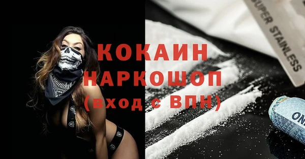 бошки Белокуриха