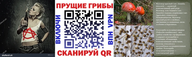 хочу   Славгород  ссылка на мегу рабочий сайт  Псилоцибиновые грибы MAGIC MUSHROOMS 